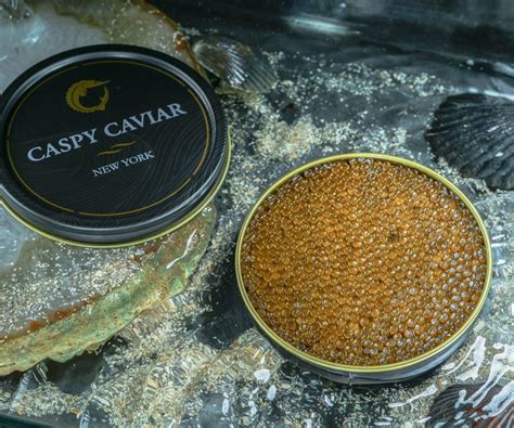 Osetra Special Reserve Caviar Caspy Caviar