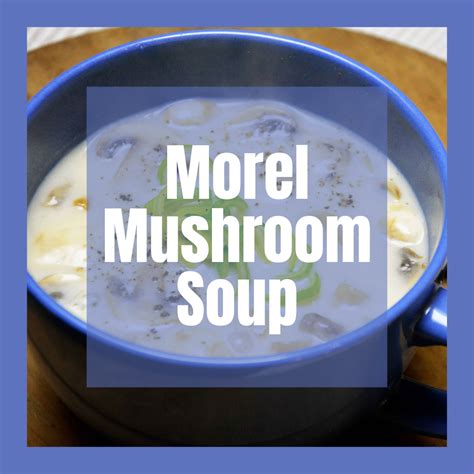 Morel Mushroom Soup - MI Ag Council