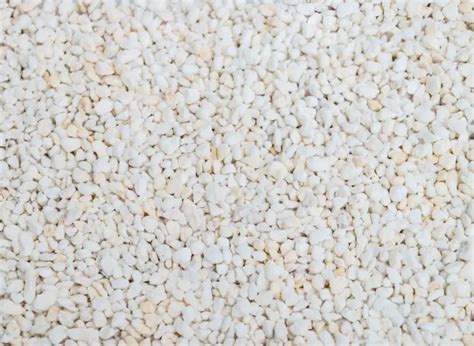 Perlite Vs Pumice Which One Is Better Plants Heaven