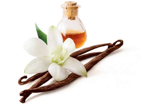 Рецепт домашнего ликера Калуа