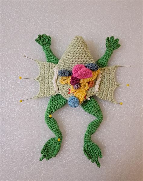 Grossed out my husband! : r/crochet