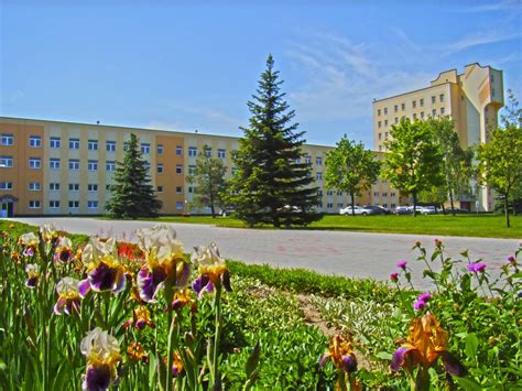 О фабрике Полесье