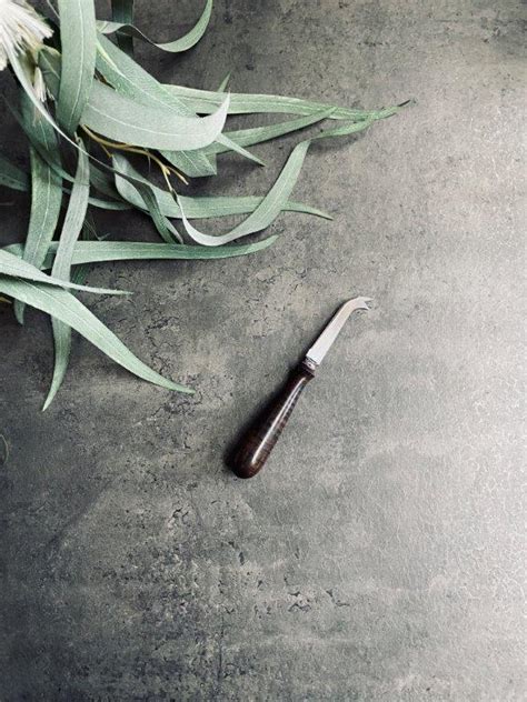 Turner Turner Cheese Knife Ebonised Jarrah 75cm Pago And Co