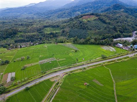 Premium Photo | Bengkulu's natural beauty from aerial photos at the time in forest