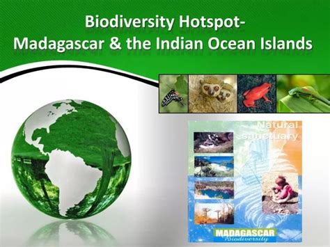 Ppt Biodiversity Hotspot Madagascar And The Indian Ocean Islands