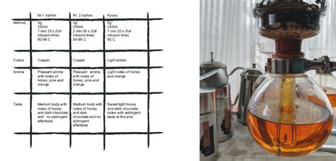 Non Traditional Tea Brewing Methods And Tools I Part I Brewing With