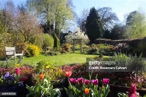 English Spring Garden Photos And Premium High Res Pictures Getty Images
