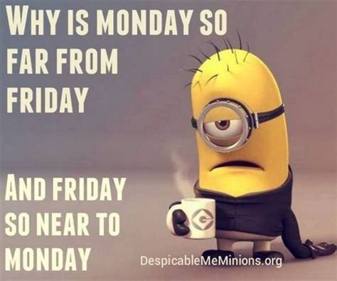 65 Funny Monday Memes to Help You Make It Through the Day