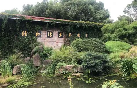 China National Tea Museum A Cultural Gem In Hangzhou
