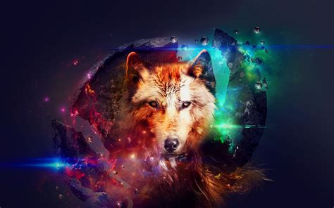 Cool Galaxy Wolf Wallpapers Top Free Cool Galaxy Wolf Backgrounds