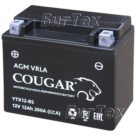 Аккумулятор COUGAR YTX12-BS 12Ah 12v купить в Москве, доставка