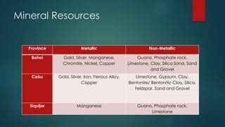 mines  geoscience bureau region  philippines