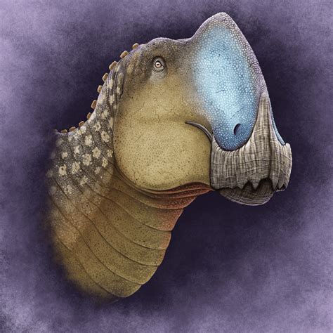 Dinosaur Unearthed In
