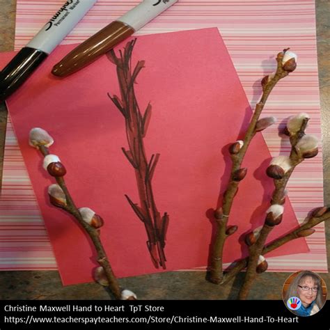 Hand To Heart Spring Brings Pussy Willows