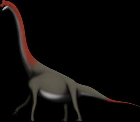 Lapparentosaurus Pictures And Facts The Dinosaur Database