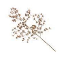 Galho Nude Cm Fl Ch Em Curitiba Pr Sete Embalagens