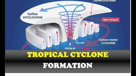 Formation Of A Tropical Cyclone Climate And Weather [geography Grade 12] Thundereduc By S