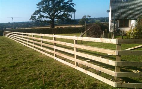 Post And Rail Fencing Bluebirch