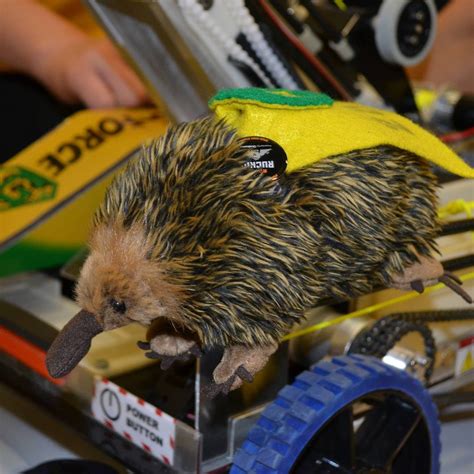Ftc Team 2818 G Force Accident Md