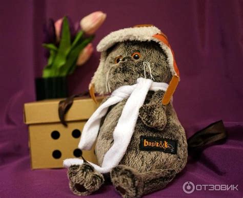Кот басик в свитере - 84 фото