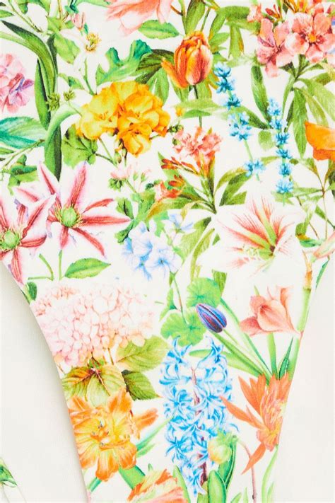 ONIA Floral Print Low Rise Bikini Briefs THE OUTNET
