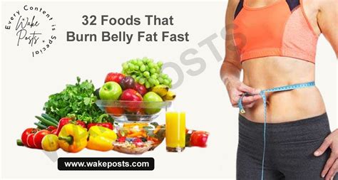 32 foods that burn belly fat : Free Download, Borrow, and Streaming ...