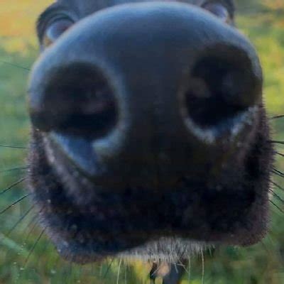 Localswingers On Twitter My Wife Told Me Today She Loves Getting Naked For You Guys Who Wants