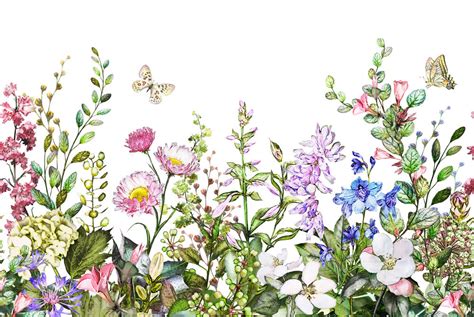 Botanical Watercolor Floral Wallpaper Mural Ever Wallpaper