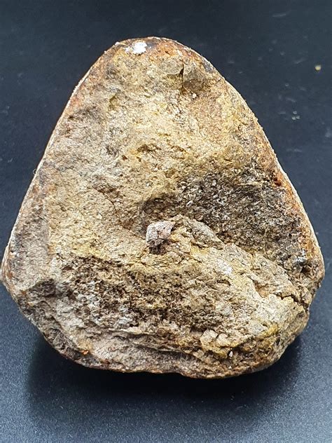 Is Ambergris Whale Vomit or Whale Poo? | by Ambergris Connect | Medium