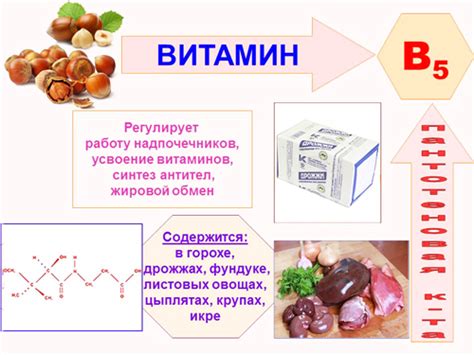 Витамин B5 (Пантотеновая кислота, пантотенат кальция) - влияние на ...