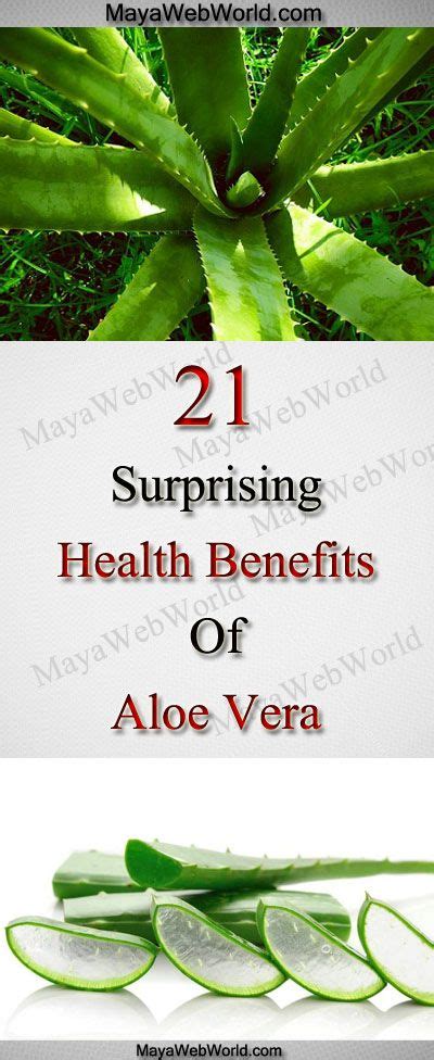 21 Surprising Health Benefits Of Aloe Vera Holistic Health Remedies Aloe Vera Healing Herbs