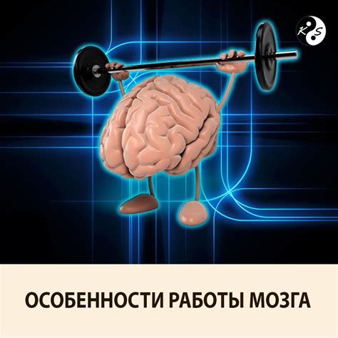 Картинки для тренировки памяти (много фото) - artshots.ru