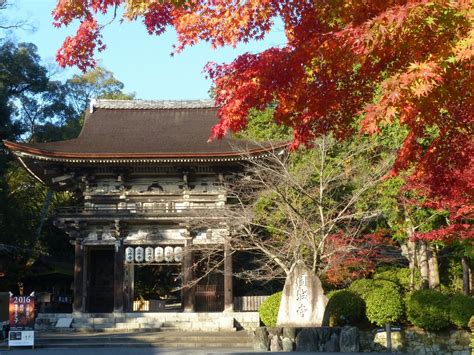 天台寺門宗総本山園城寺（三井寺） ｜ みんなでつくろう！健康しが