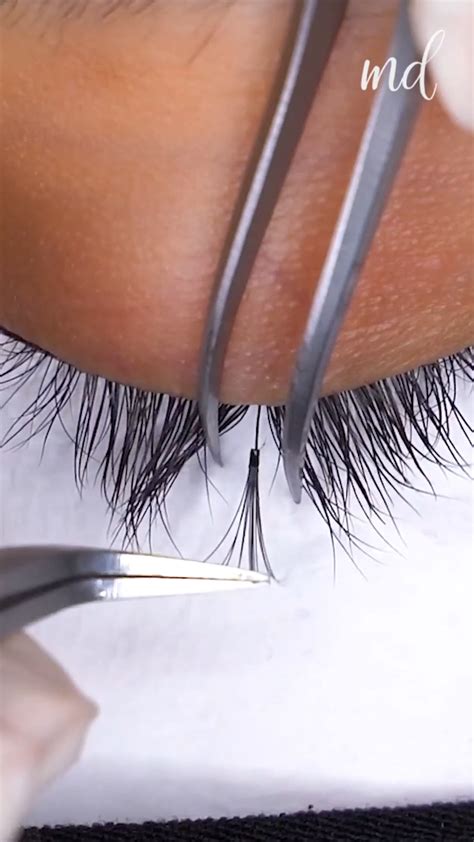 Eyelash extension tip – Artofit