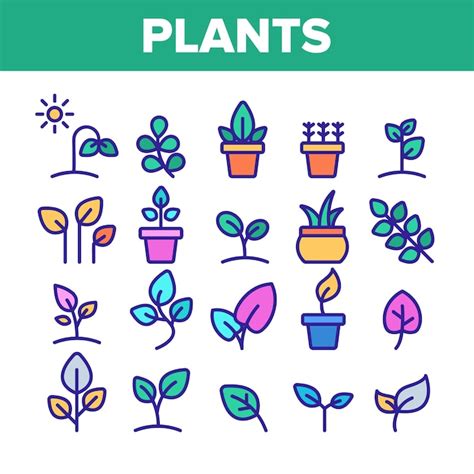 Vectores E Ilustraciones De Plantas Iconos Para Descargar Gratis Freepik