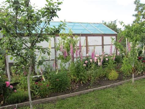 Теплица для дачи - Зона Хобби