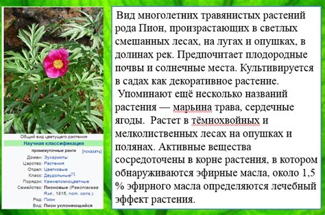 РАСТЕНИЯ: РАЗДЕЛ 1. РАСТИТЕЛЬНЫЙ ОРГАНИЗМ 6 КЛАСС