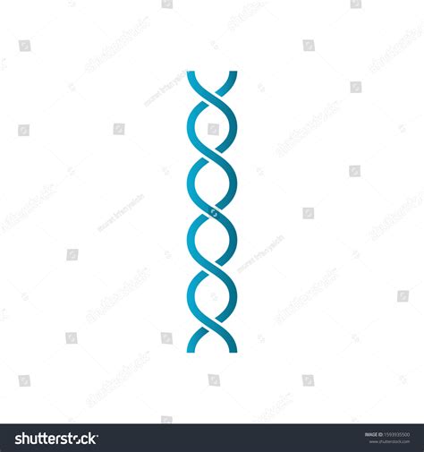 Vector Illustration Dna Structure Stock Vector (Royalty Free ...