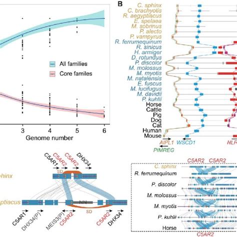 evolution  gene families  increasing trend   gene families