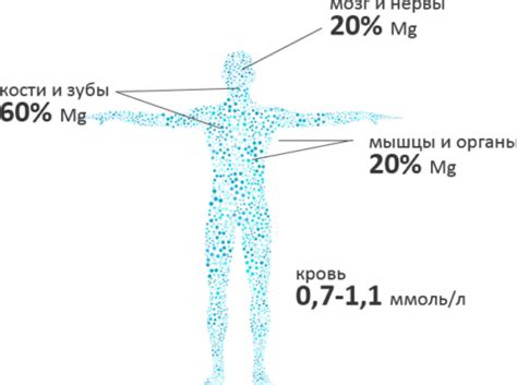 Магний в организме человека: где содержится, дефицит