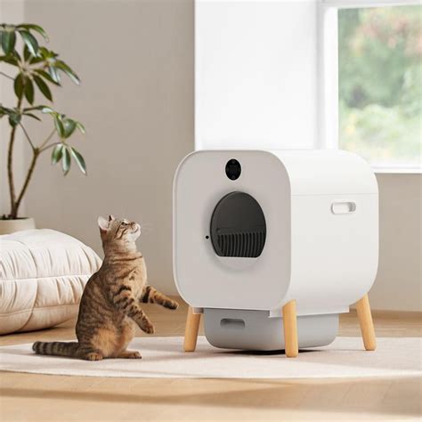 Туалет для животных купить на OZON по низкой цене (1893269837)