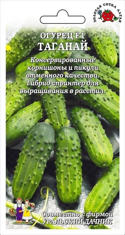 Золотая сотка алтая