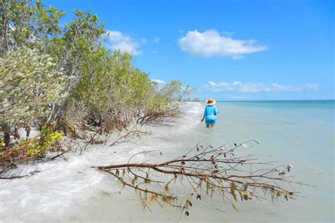 Gem Hidden: Tigertail Beach | Marco Escapes, Inc. | Vacation Rental ...