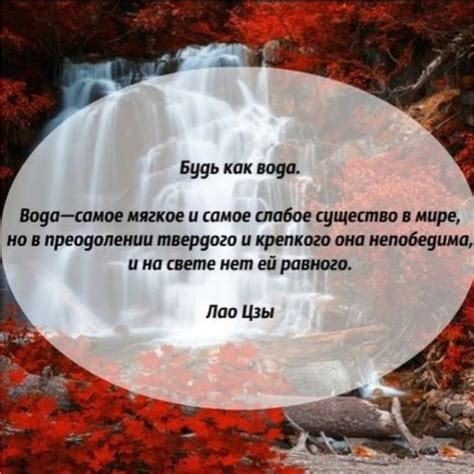 Дороги, которые мы выбираем | ВКонтакте