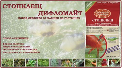 Дифломайт Стопклещ - новое средство против клещей на растениях. Обзор ...