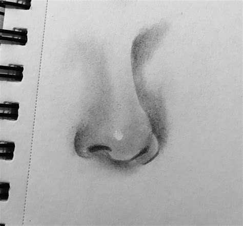 Realistic Drawing Of A Nose