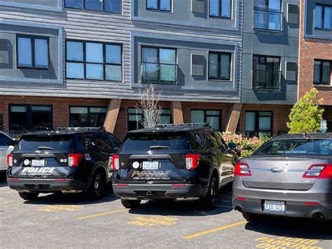 Son Stabbed Parents To Death In Highland Park Apartment Authorities