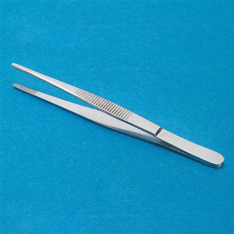 thumb forceps stainless steel straight   carolina biological supply
