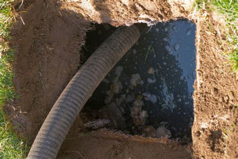 When Your Septic Tank Fills Up Too Fast Causes And Solutions All Septic And Sewer Puyallup