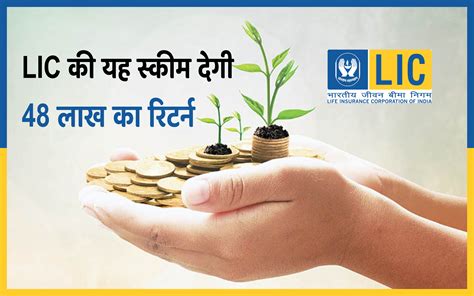 Lic Scheme महज 2 हजार के निवेश पर मिलेगा 48 लाख से अधिक का रिटर्न